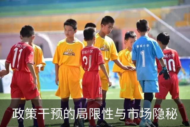 政策干预的局限性与市场隐秘